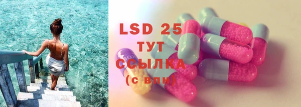 МДПВ Пересвет
