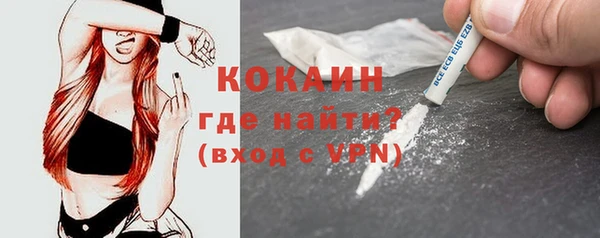 МДПВ Пересвет