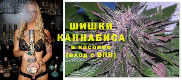 бошки Осташков