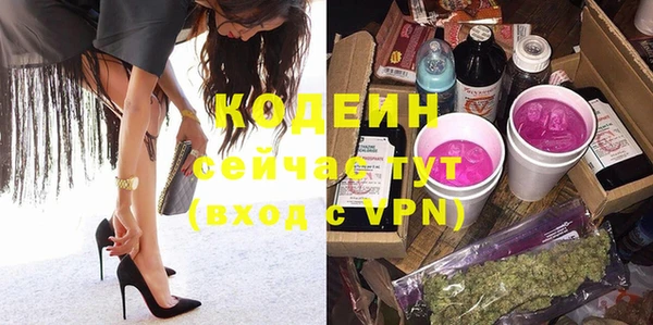 гашик Осинники