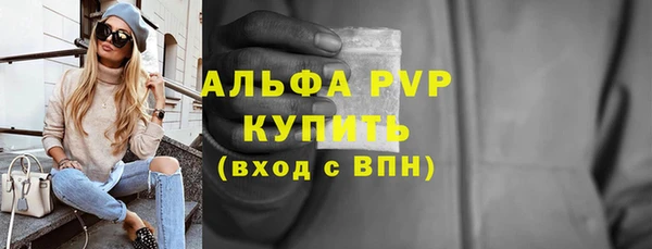 гашик Осинники