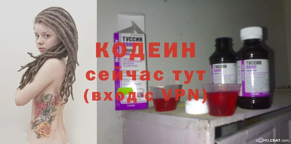 гашик Осинники
