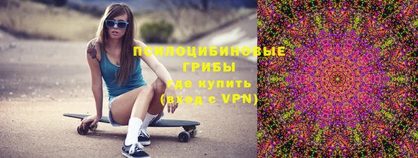 гашик Осинники