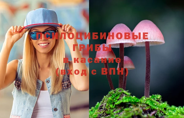 гашик Осинники