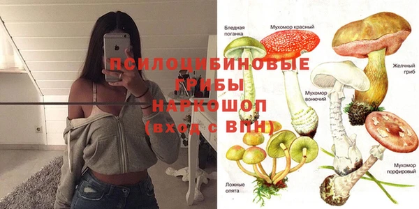 тгк Пестово