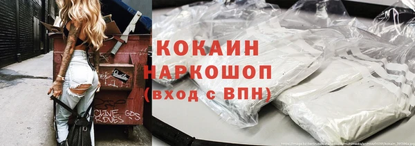 гашик Осинники